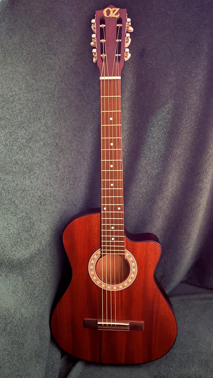 Categoría Guitarra Electroacústica