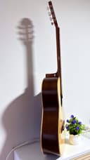 Guitarra Acústica Pino de Nogal con Corte 3