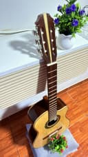Guitarra Acústica Pino de Nogal con Corte 4