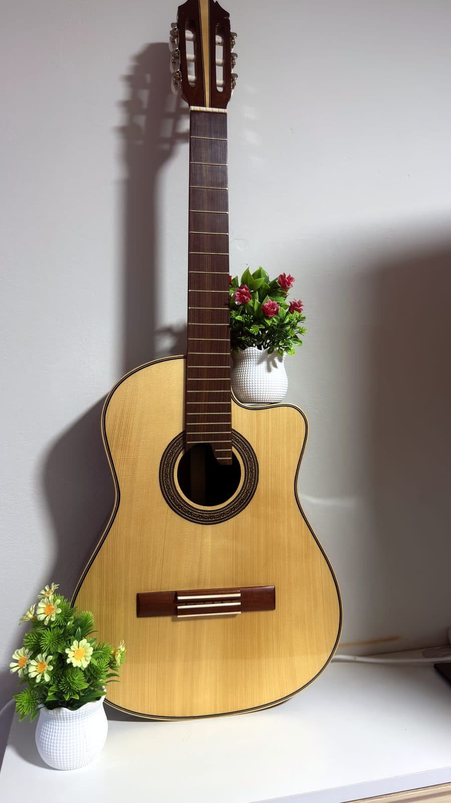 Guitarra Acústica Pino de Nogal con Corte