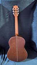 Guitarra Acústica Rosa de Nogal 6